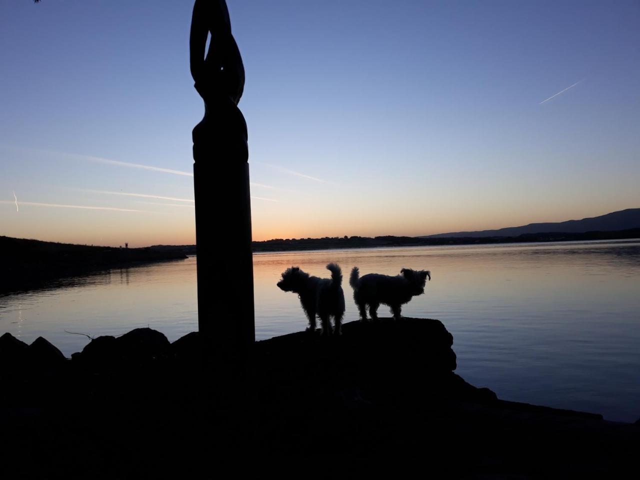 Barrow House Hotel Tralee Bagian luar foto